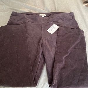 Corduroy pant